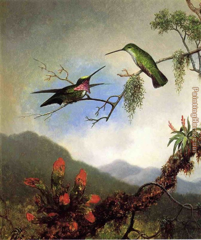 Amethyst Hummingbirds painting - Martin Johnson Heade Amethyst Hummingbirds art painting